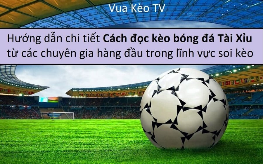 Chơi cá cược bóng đá có những kèo cơ bản nào cần phải nhớ?