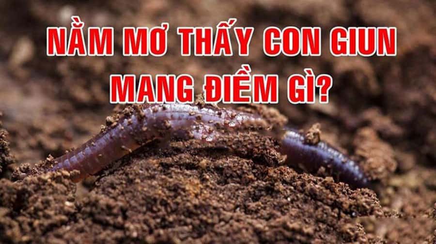 Nằm mơ thấy giun nên đánh lô số bao nhiêu trúng lớn?