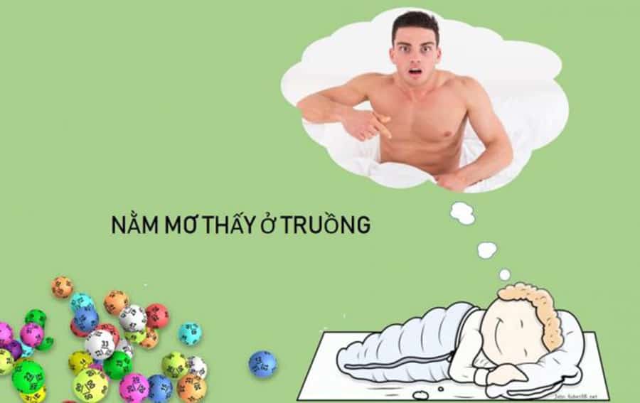 Mơ thấy ở truồng đánh con gì trúng lớn? Ý nghĩa của giấc mơ nhìn thấy ở truồng là gì?