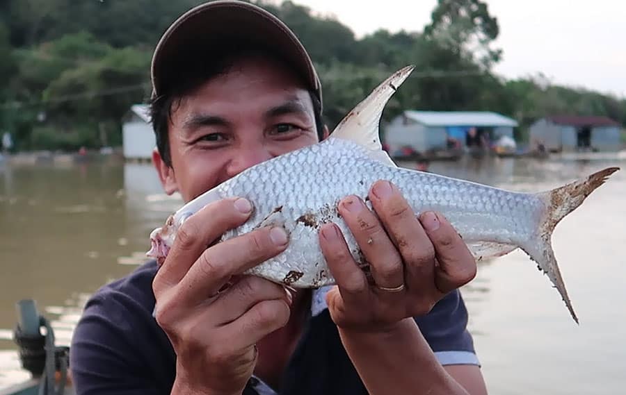 giai ma nam mo bat duoc nhieu ca ngu y diem tot hay xau?