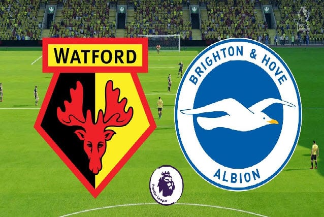 Soi kèo bóng đá W88.ws – Watford vs Brighton, 12/02/2022